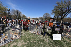 “Families Belong Together:” 130 Faith Organizations Demand Biden Administration Reverse Course on Family Detention Plans